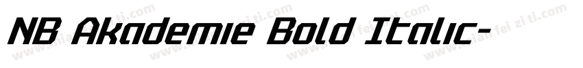 NB Akademie Bold Italic字体转换